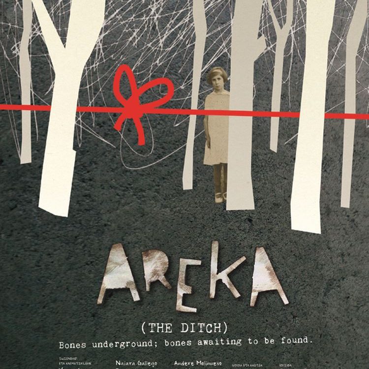 Poster película Areka