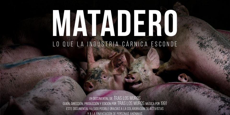 Poster documental Matadero