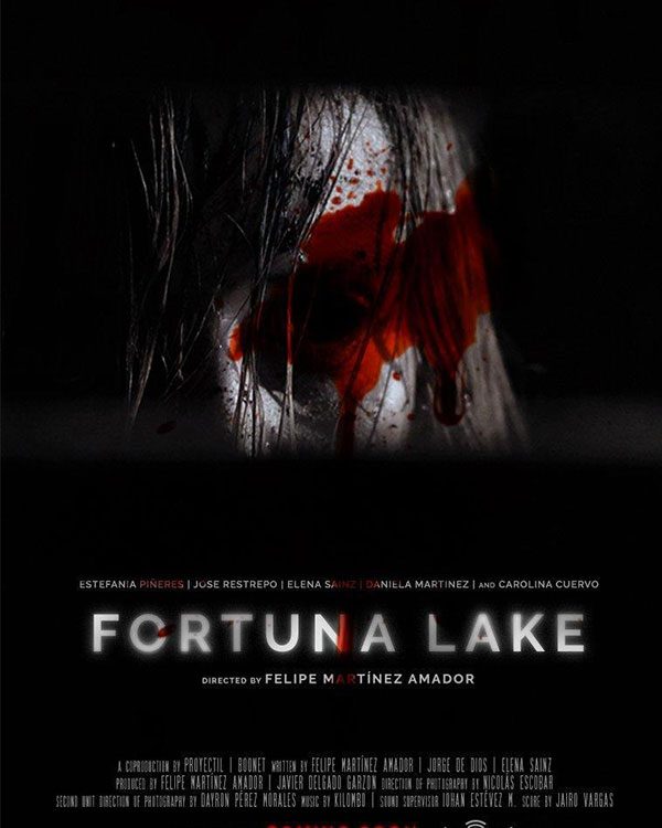 Poster Película Fortuna Lake