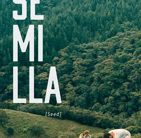 semilla